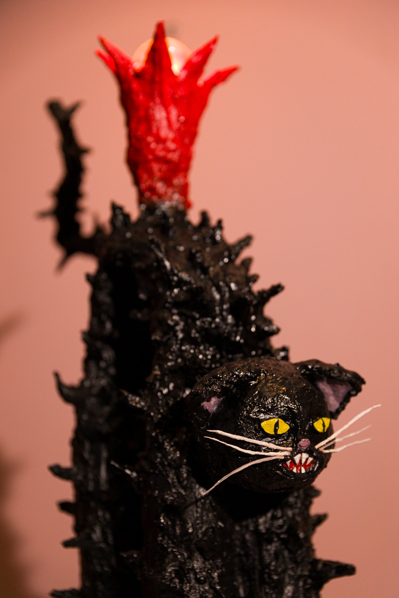 Scaredy Cat