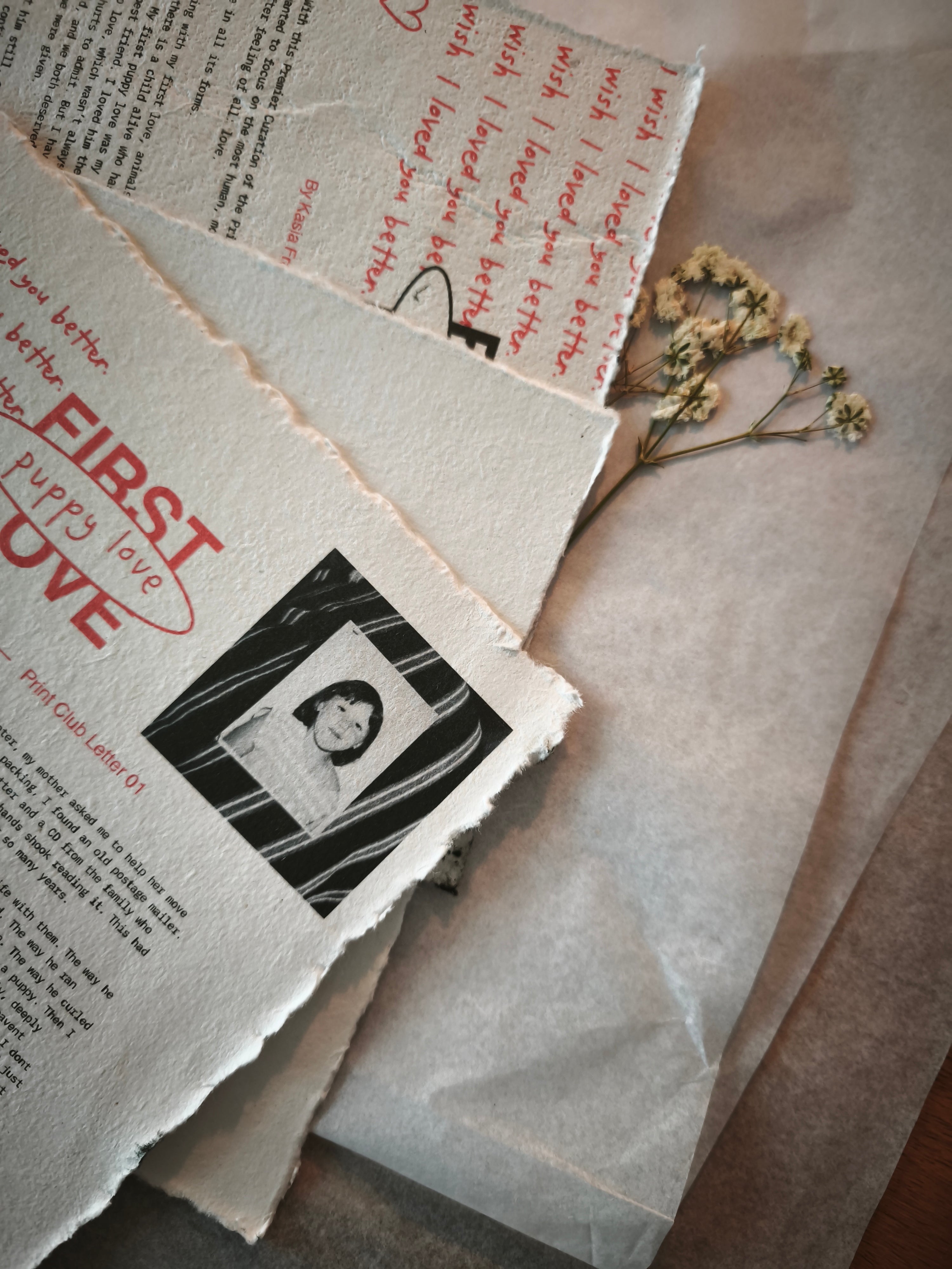 Archive: Print 01, Curation 01