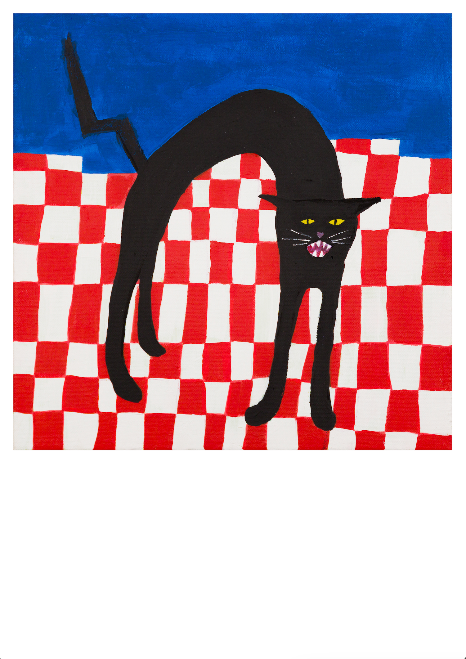 Scaredy Cat