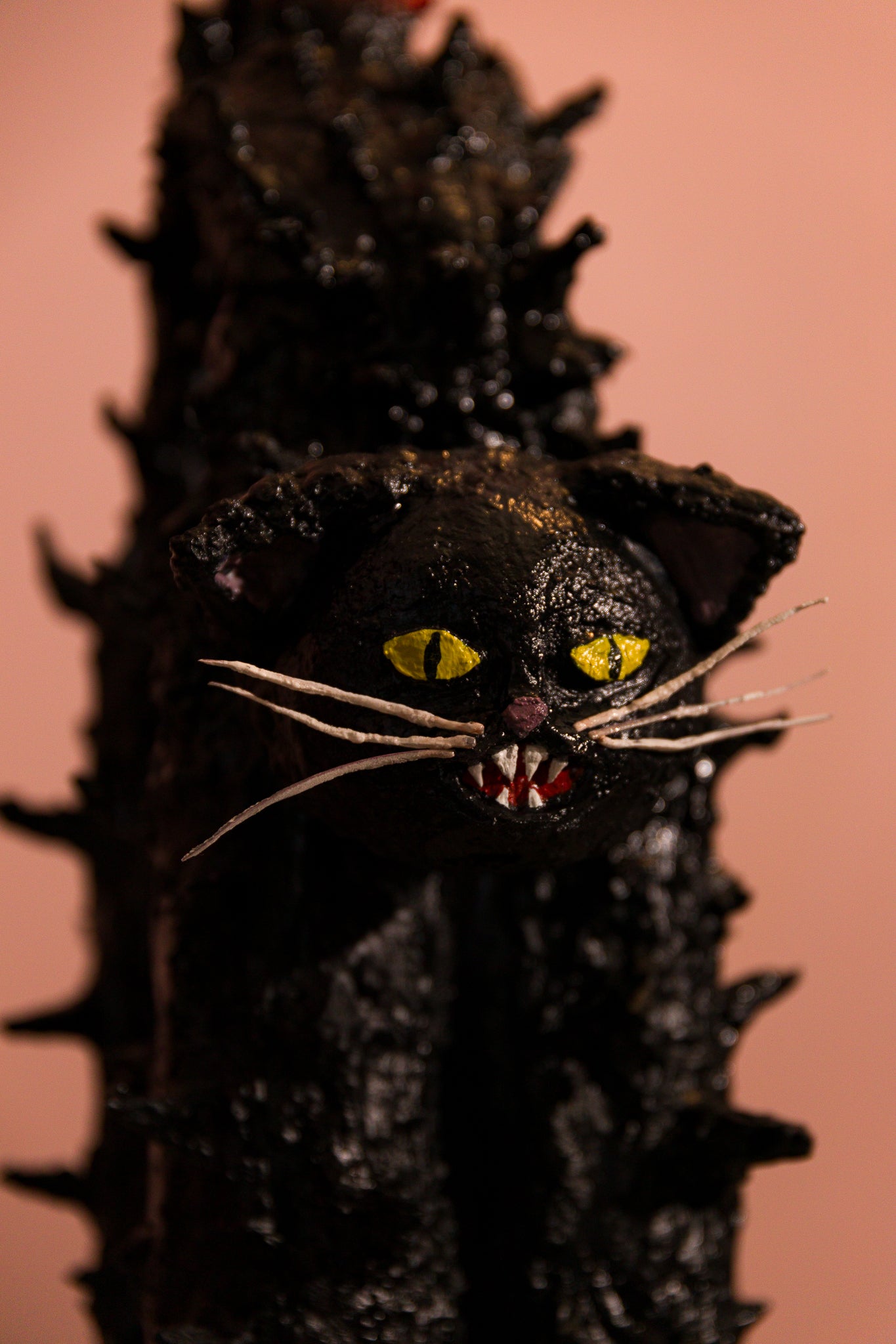 Scaredy Cat