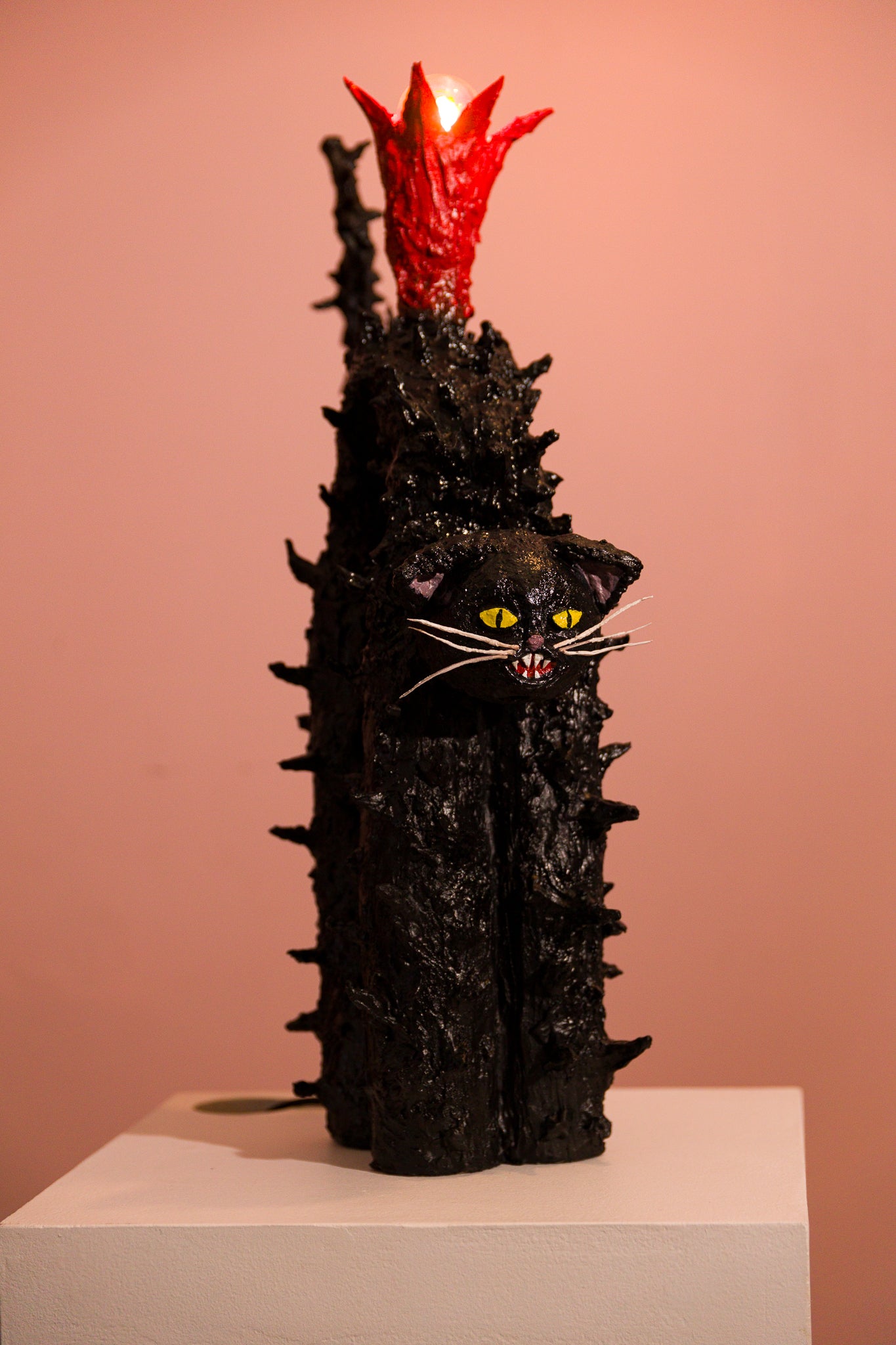 Scaredy Cat