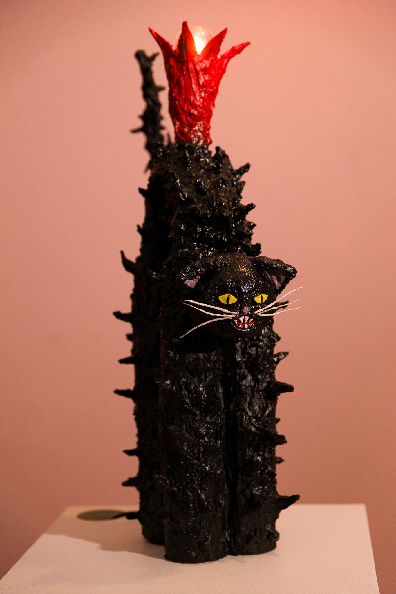 Scaredy Cat