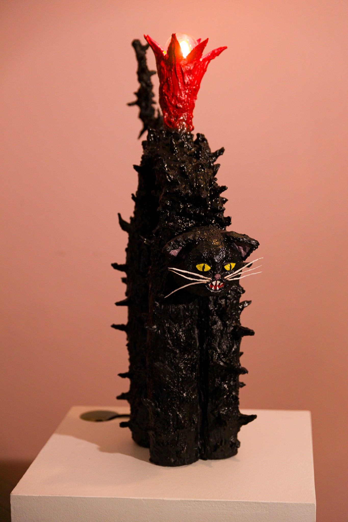 Scaredy Cat