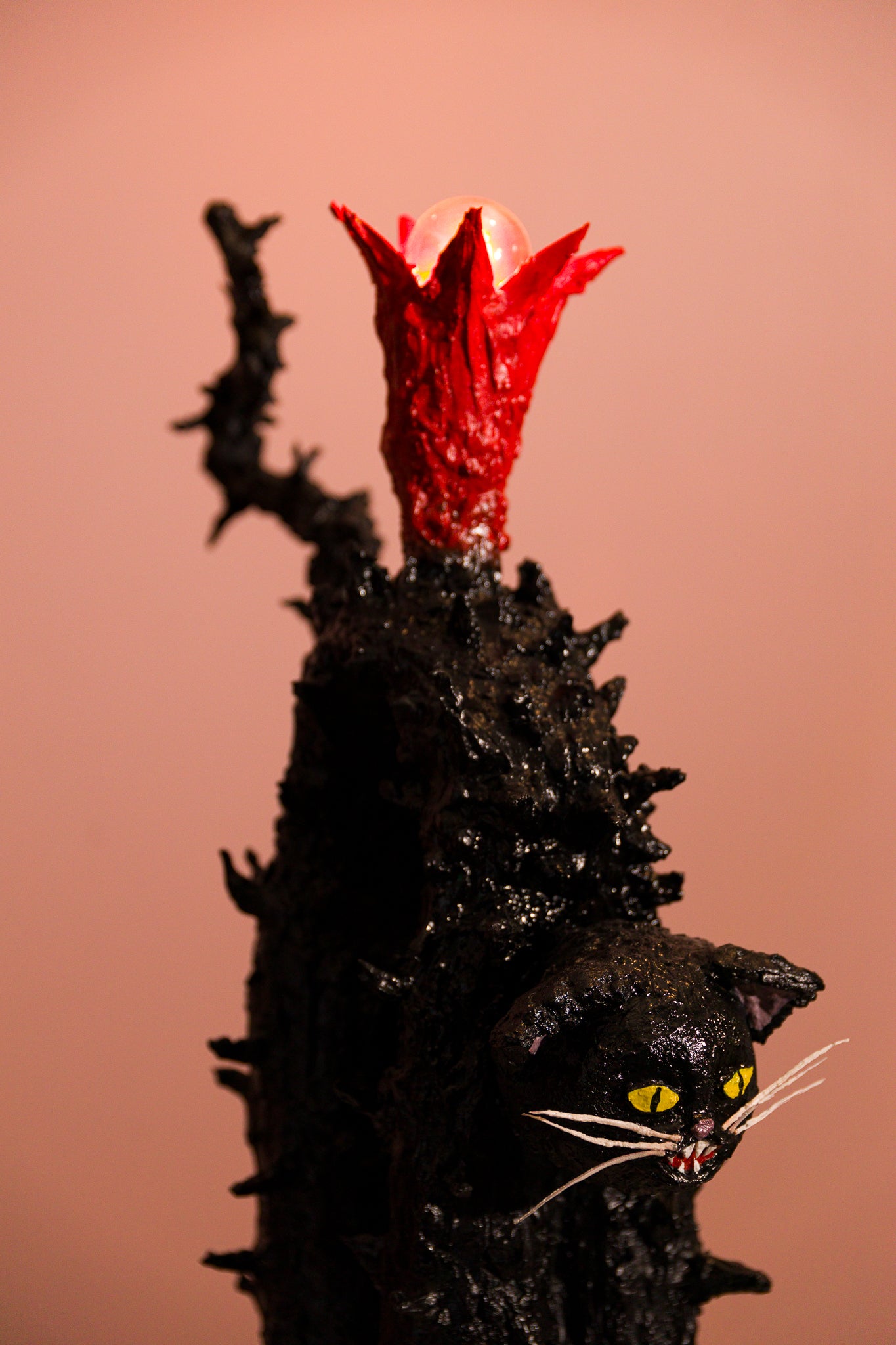 Scaredy Cat