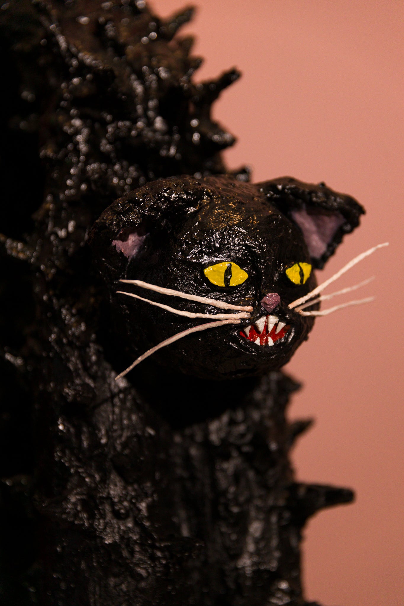 Scaredy Cat