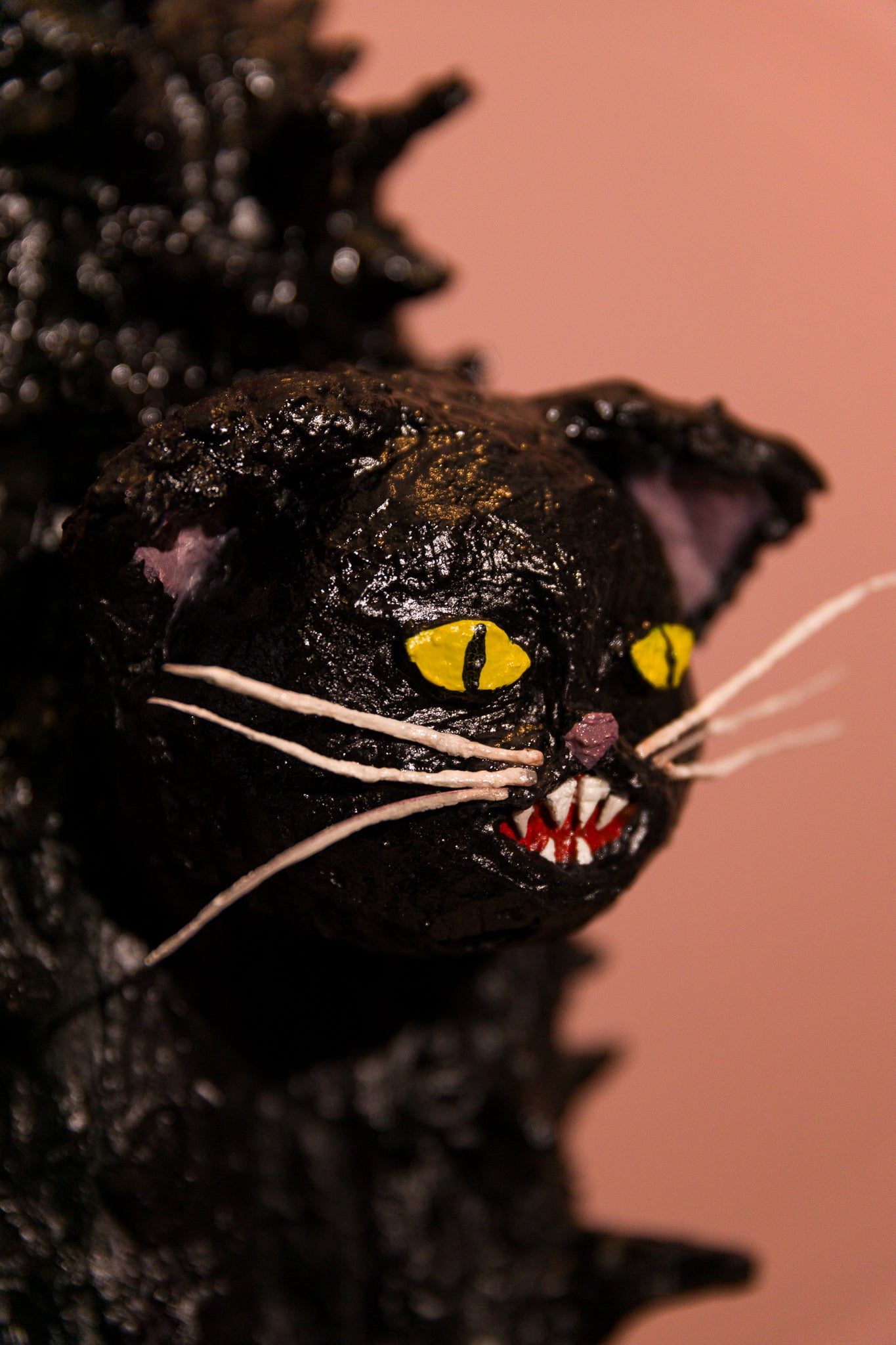 Scaredy Cat