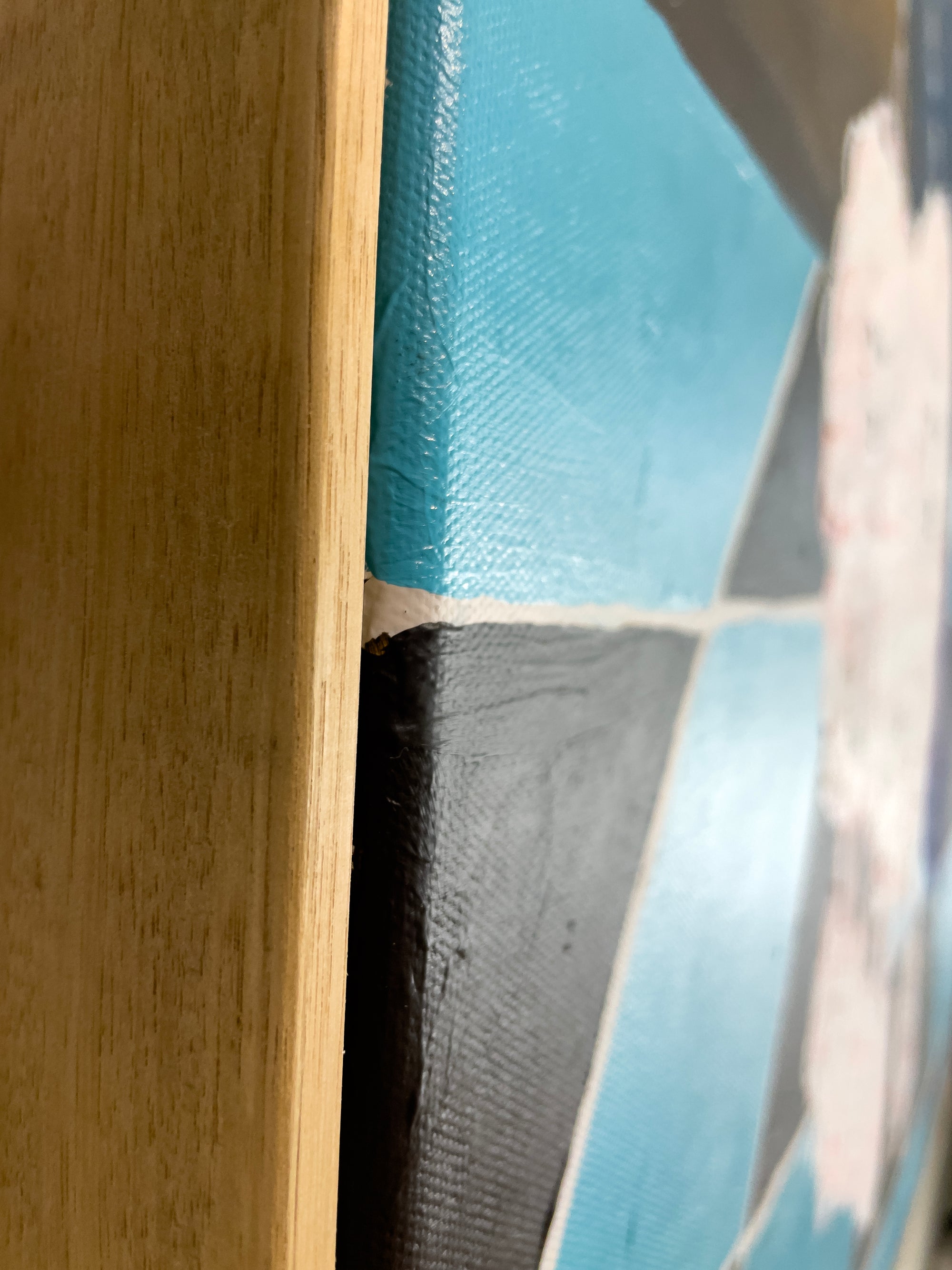 Where The Tender Ones Lead